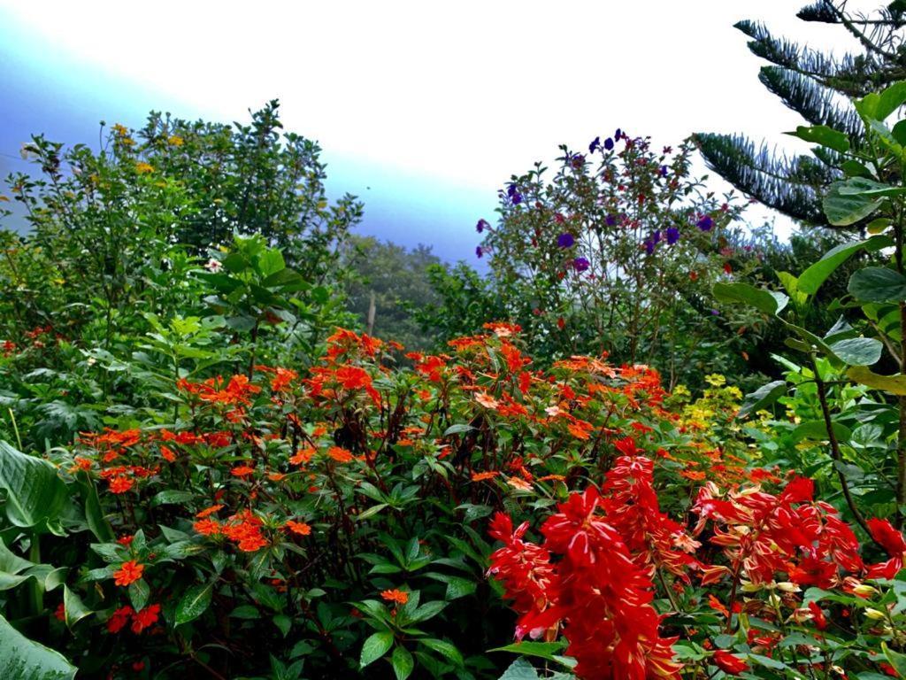 Finca Neblina Del Bosque Villa Esteli Exterior photo